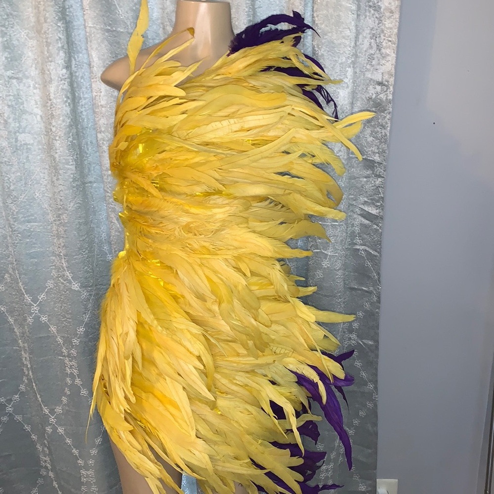 Birthday feather dress